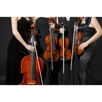 Philharmonic String Quartet 1062275 Image 0